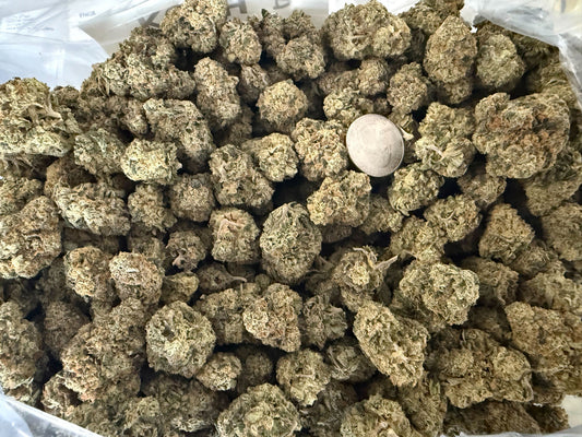 Big Buds Afghani Kush