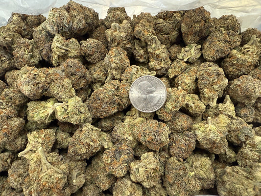 Big Buds Biscotti X Jealousy