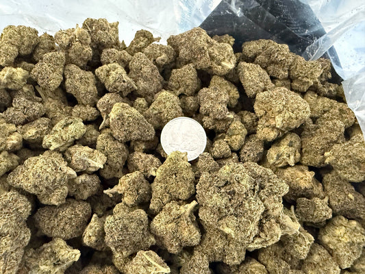 Big Buds Cinnamon Roll