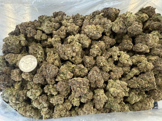 Small Buds LA Kush Pop