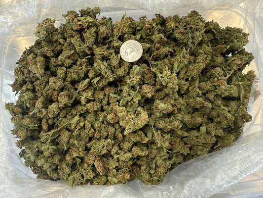 Big Buds Machine Trimmed Blue Dream