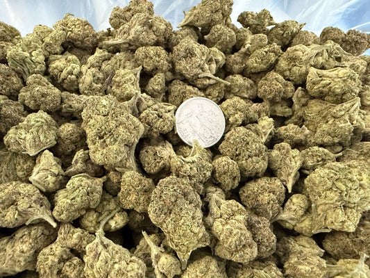 Big Buds Purple Gusherz