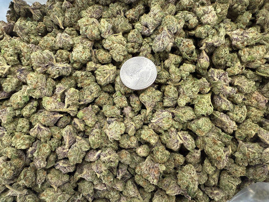 Small Buds White Gumbo