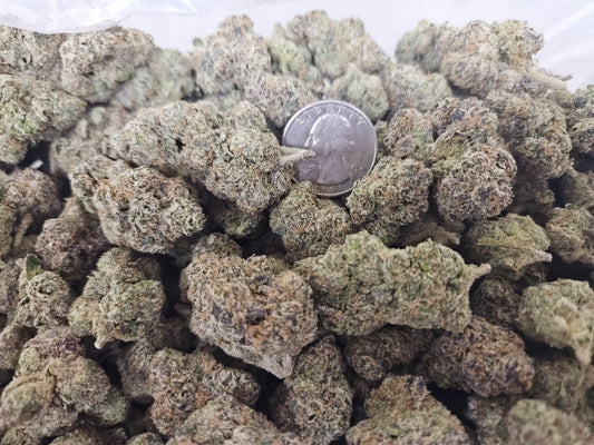 Small Buds LCGQ
