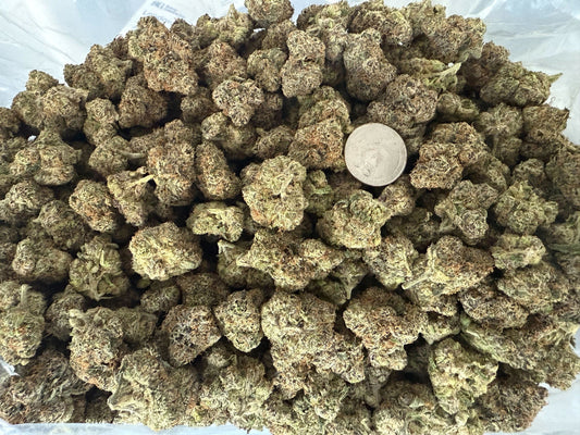 Big Buds Black Cherry Popperz