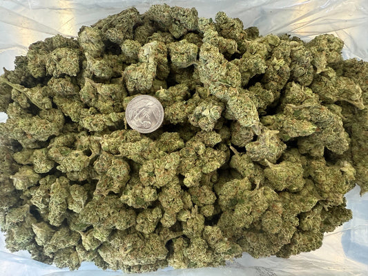 Big Buds Blue Guava