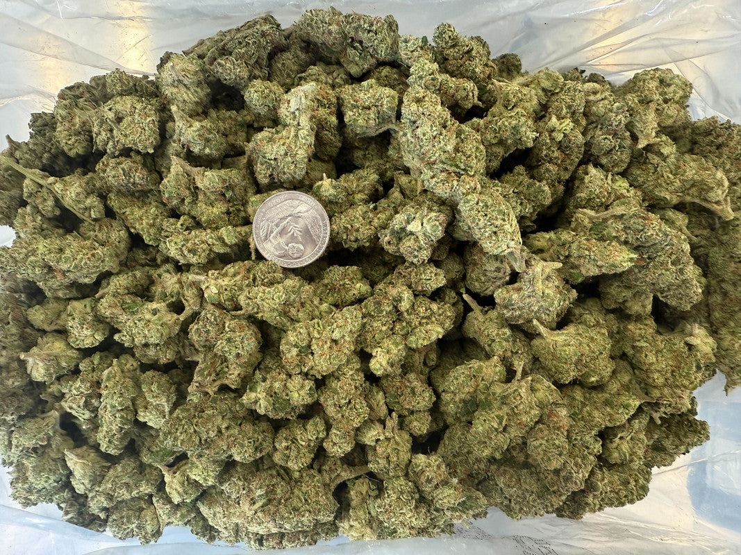 Big Buds Blue Guava