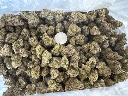 Big Buds Clase Azul