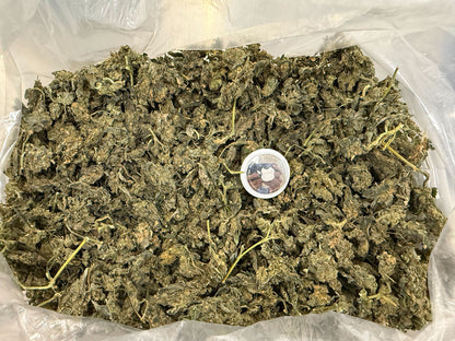 Big Buds Ice Water Washed Biomass