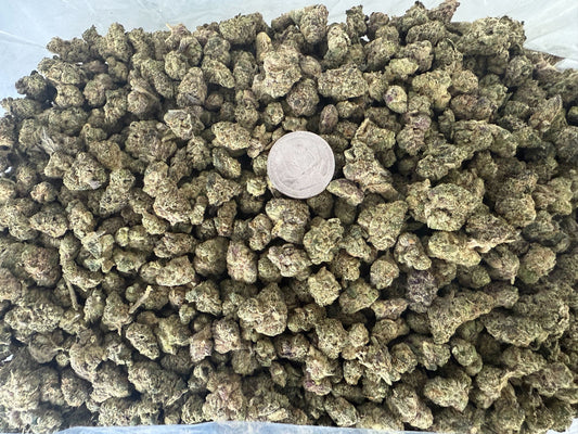 Small Buds R-Pop