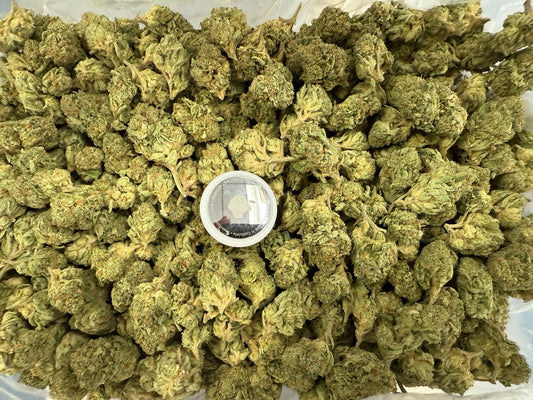 Big Buds Zkittlez